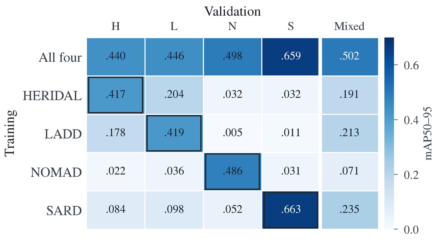 YOLO26l mAP50-95 per validation source: combined model vs single-source specialists